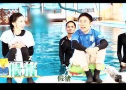 综艺节目娱乐吃瓜,揭秘明星幕后吃瓜大揭秘